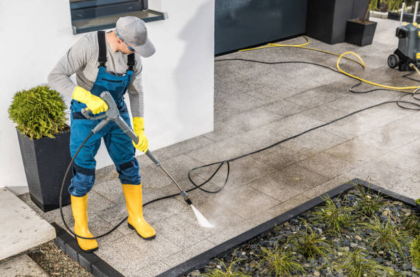 Best Roof Pressure Washing  in Belvedere, CA