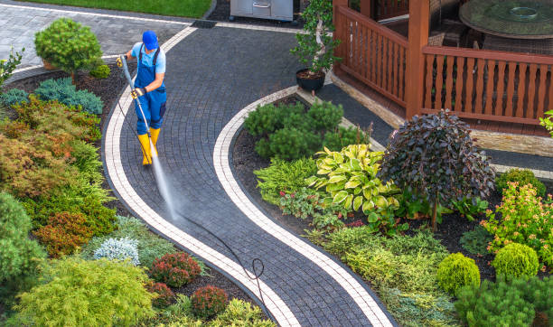 Roof Power Washing Services in Belvedere, CA